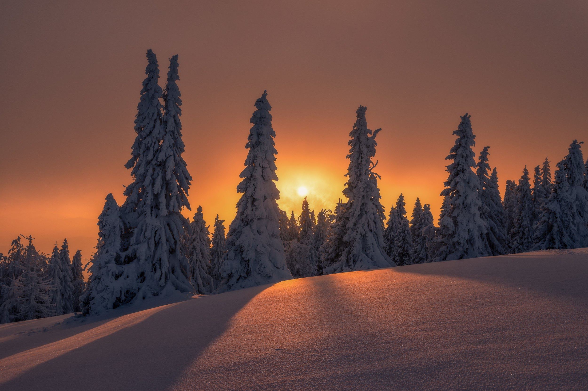 2500x1666 arbres, coucher de soleil, hiver, nature, neige, paysages, soleil