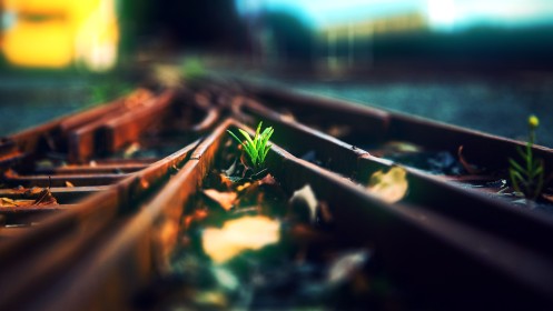 chemin de fer,macro