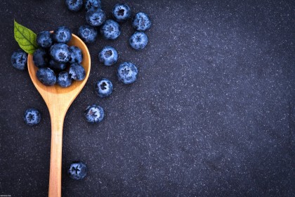 fruit,myrtille,nourriture