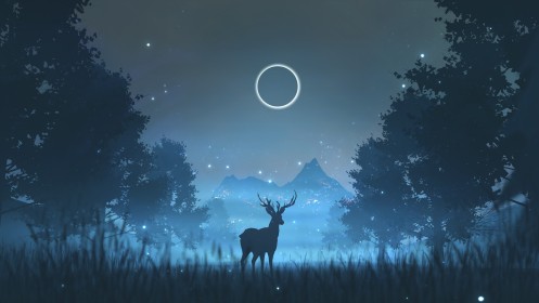 artwork,background bleu,cerf,creature,eclipse solaire,environnements,foret,herbe,luciole,lune,nuit