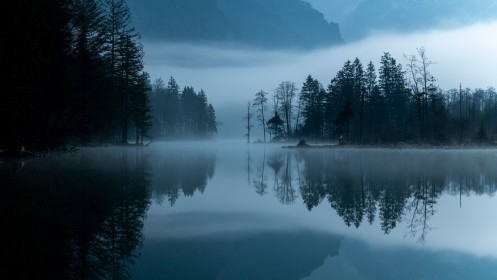 arbres,brume,crepuscule,eau,nature,paysages,réflexion,riviere