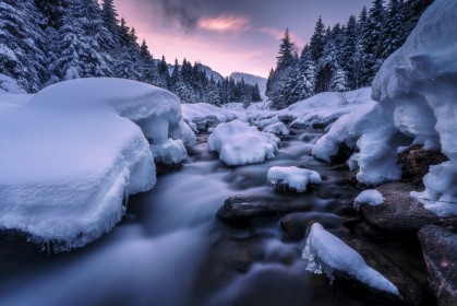 alpes,arbres,autriche,hiver,nature,neige,paysages,ruisseau