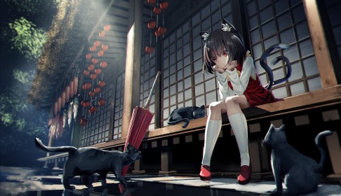 animal humanoide,animaux,artwork,assis,chat,chaussettes,chen (touhou),cheveux brun,cheveux court,dehors,enfant,fille chat,frange,multiples queues,personnage feminin,queue,touhou,yeux rouge